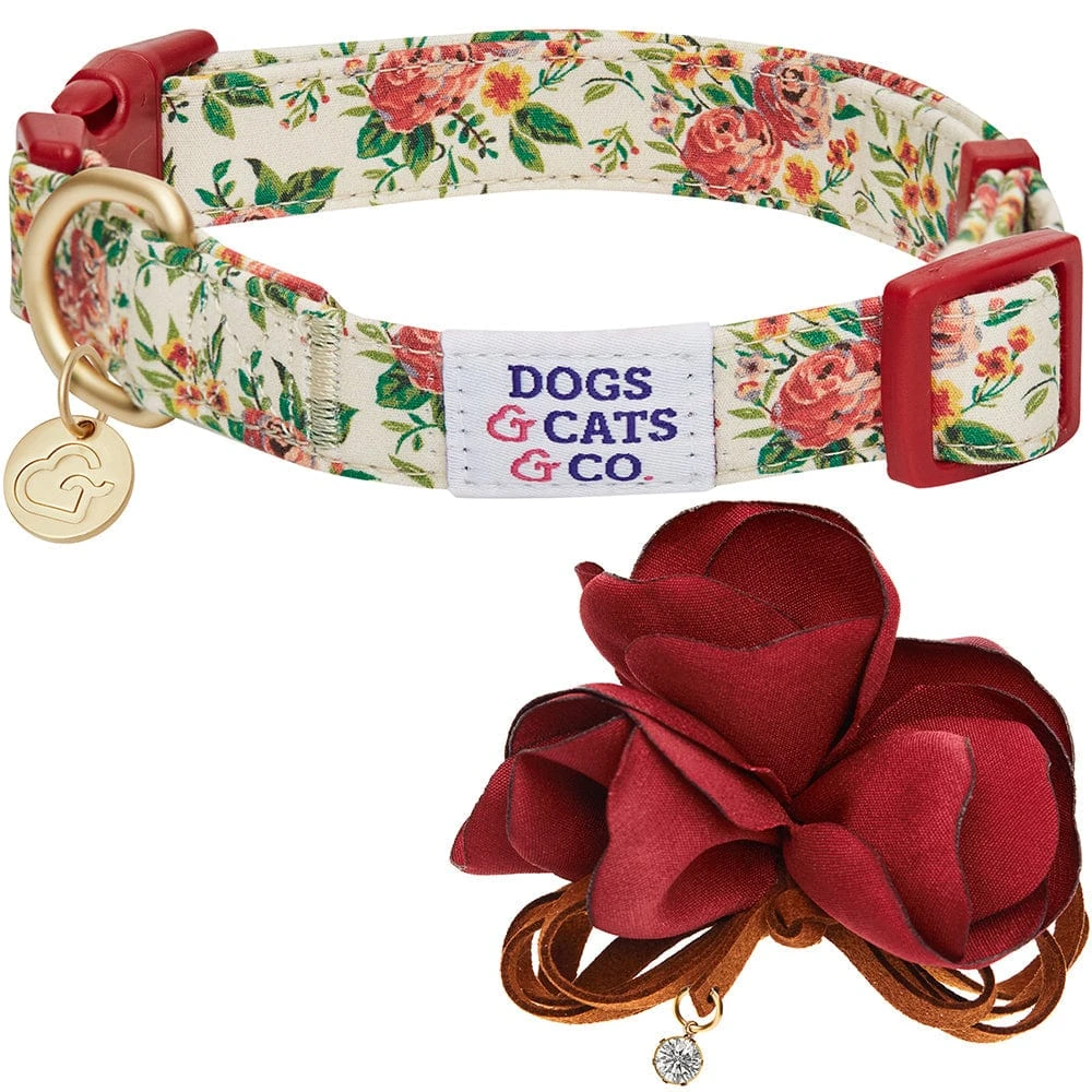 Dogs & Cats & Co. A Scent Of Spring Balloon Flower Dog Collar 10 Dogs & Cats & Co. A Scent Of Spring Balloon Flower Dog Collar - Image 10