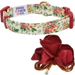 Dogs & Cats & Co. A Scent Of Spring Balloon Flower Dog Collar 30 Dogs & Cats & Co. A Scent Of Spring Balloon Flower Dog Collar -Dog & Cat Store 1041006040 5