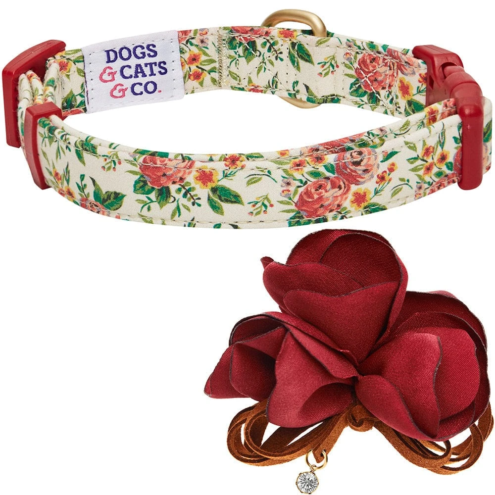 Dogs & Cats & Co. A Scent Of Spring Balloon Flower Dog Collar 11 Dogs & Cats & Co. A Scent Of Spring Balloon Flower Dog Collar - Image 11