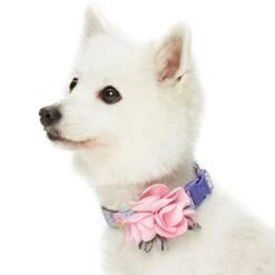Dogs & Cats & Co. A Scent Of Spring Balloon Flower Dog Collar 33 Dogs & Cats & Co. A Scent Of Spring Balloon Flower Dog Collar -Dog & Cat Store 1041007047 2