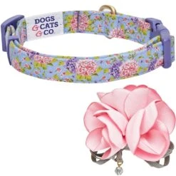 Dogs & Cats & Co. A Scent Of Spring Balloon Flower Dog Collar 36 Dogs & Cats & Co. A Scent Of Spring Balloon Flower Dog Collar -Dog & Cat Store 1041007047 5