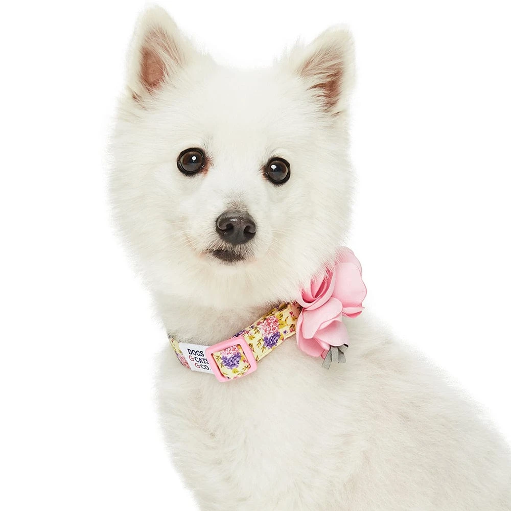 Dogs & Cats & Co. A Scent Of Spring Balloon Flower Dog Collar 20 Dogs & Cats & Co. A Scent Of Spring Balloon Flower Dog Collar - Image 20