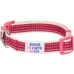 Dogs & Cats & Co.In The Night Dog Collar For Safety -Dog & Cat Store 1041012041 1