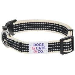 Dogs & Cats & Co.In The Night Dog Collar For Safety -Dog & Cat Store 1041014045 1