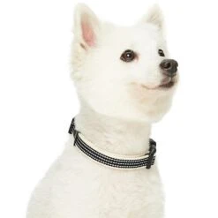 Dogs & Cats & Co.In The Night Dog Collar For Safety -Dog & Cat Store 1041014045 2