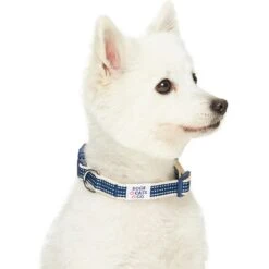 Dogs & Cats & Co.In The Night Dog Collar For Safety -Dog & Cat Store 1041015042 3