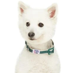 Dogs & Cats & Co.In The Night Dog Collar For Safety -Dog & Cat Store 1041016049 2