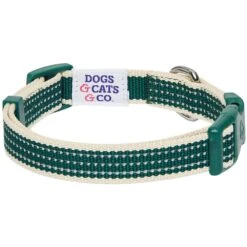 Dogs & Cats & Co.In The Night Dog Collar For Safety -Dog & Cat Store 1041016049 4