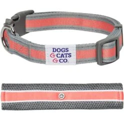 Dogs & Cats & Co. 2-in-1 Dog Collar With Padded Cover -Dog & Cat Store 1041017046 1 e45e03c4 a7e7 4e16 84f4 620e7457cc8d