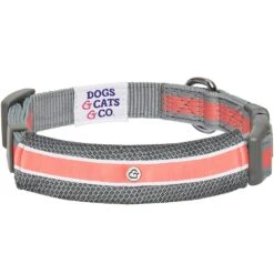 Dogs & Cats & Co. 2-in-1 Dog Collar With Padded Cover -Dog & Cat Store 1041017046 4 546f5ca3 52e8 4f0d a8db 42173725ec4a