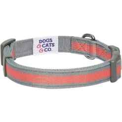 Dogs & Cats & Co. 2-in-1 Dog Collar With Padded Cover -Dog & Cat Store 1041017046 5 4a1e7ff1 0a92 42b8 ab6b c8ee1ae80340