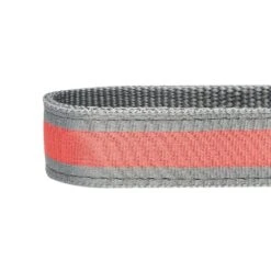 Dogs & Cats & Co. 2-in-1 Dog Collar With Padded Cover -Dog & Cat Store 1041017046 6 081f86ad b154 44ce b33b 75429bbe317c