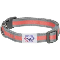 Dogs & Cats & Co. 2-in-1 Dog Collar With Padded Cover -Dog & Cat Store 1041017046 7 76f976ed 59c2 49ee 8924 2632d63375fd