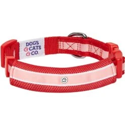 Dogs & Cats & Co. 2-in-1 Dog Collar With Padded Cover -Dog & Cat Store 1041018043 4 b92fcc79 4c60 407e ada9 f3973ade0f9c