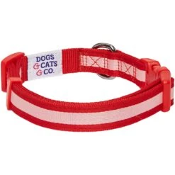 Dogs & Cats & Co. 2-in-1 Dog Collar With Padded Cover -Dog & Cat Store 1041018043 5 af7f17bd 6e17 435b a992 c91cc1365d3d