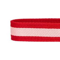 Dogs & Cats & Co. 2-in-1 Dog Collar With Padded Cover -Dog & Cat Store 1041018043 6 5e547b79 12e8 4691 8b95 2255e877780a