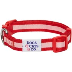 Dogs & Cats & Co. 2-in-1 Dog Collar With Padded Cover -Dog & Cat Store 1041018043 7 cf960d0e 5977 4c6a 8f4e 9527e8a87dda