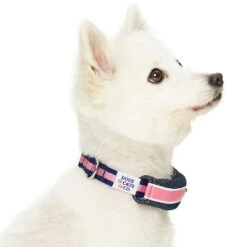 Dogs & Cats & Co. 2-in-1 Dog Collar With Padded Cover -Dog & Cat Store 1041019040 3 674c0ed2 72d8 4dc1 8e75 ca588f135b28