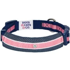 Dogs & Cats & Co. 2-in-1 Dog Collar With Padded Cover -Dog & Cat Store 1041019040 4 0ded982a cebc 48c4 85db 208d6752a30a