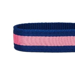 Dogs & Cats & Co. 2-in-1 Dog Collar With Padded Cover -Dog & Cat Store 1041019040 6 28d6f20f 5f6f 459a 8ec4 e2eee4cd7583
