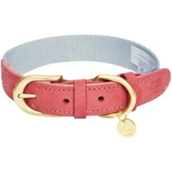Dogs & Cats & Co. A La Mode Dog Collar For Stylish Pets 25 Dogs & Cats & Co. A La Mode Dog Collar For Stylish Pets -Dog & Cat Store 1041022040 1