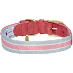 Dogs & Cats & Co. A La Mode Dog Collar For Stylish Pets 28 Dogs & Cats & Co. A La Mode Dog Collar For Stylish Pets -Dog & Cat Store 1041022040 4