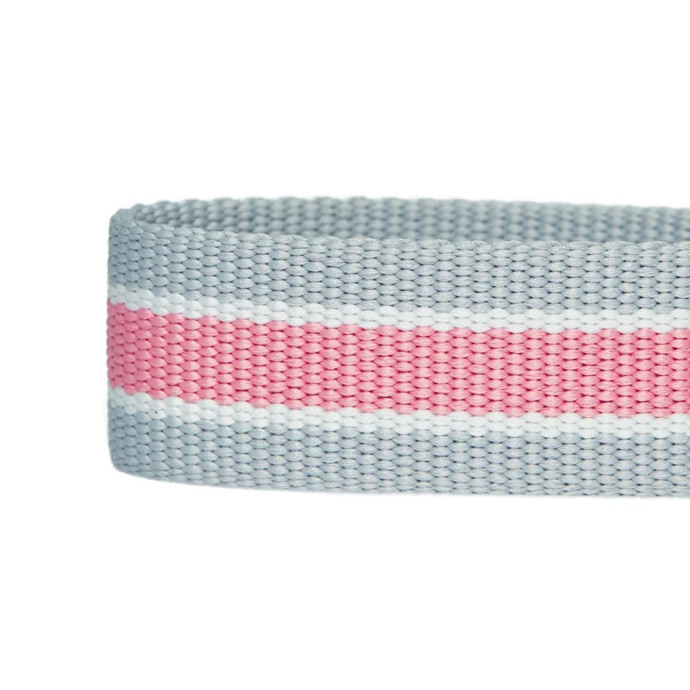Dogs & Cats & Co. A La Mode Dog Collar For Stylish Pets 11 Dogs & Cats & Co. A La Mode Dog Collar For Stylish Pets - Image 11