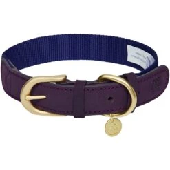 Dogs & Cats & Co. A La Mode Dog Collar For Stylish Pets 31 Dogs & Cats & Co. A La Mode Dog Collar For Stylish Pets -Dog & Cat Store 1041023047 1