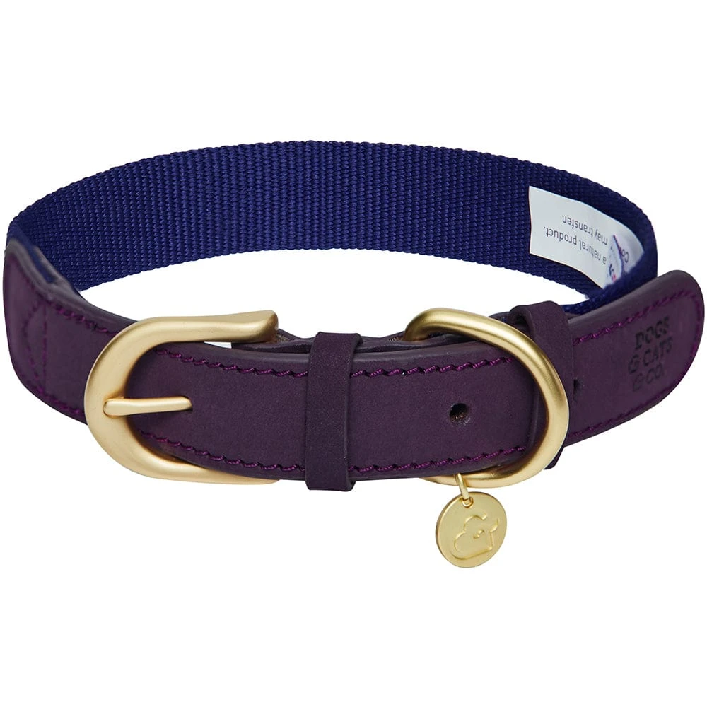 Dogs & Cats & Co. A La Mode Dog Collar For Stylish Pets 12 Dogs & Cats & Co. A La Mode Dog Collar For Stylish Pets - Image 12