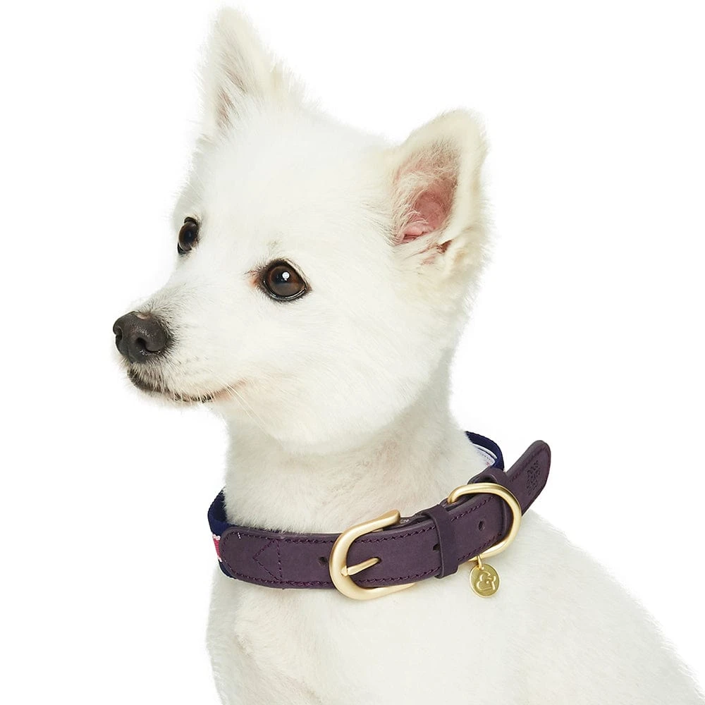 Dogs & Cats & Co. A La Mode Dog Collar For Stylish Pets 13 Dogs & Cats & Co. A La Mode Dog Collar For Stylish Pets - Image 13