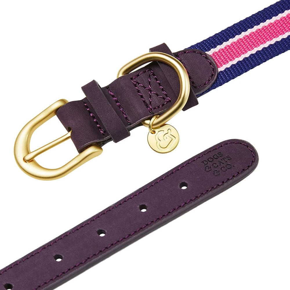 Dogs & Cats & Co. A La Mode Dog Collar For Stylish Pets 16 Dogs & Cats & Co. A La Mode Dog Collar For Stylish Pets - Image 16