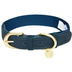 Dogs & Cats & Co. A La Mode Dog Collar For Stylish Pets 37 Dogs & Cats & Co. A La Mode Dog Collar For Stylish Pets -Dog & Cat Store 1041024044 1