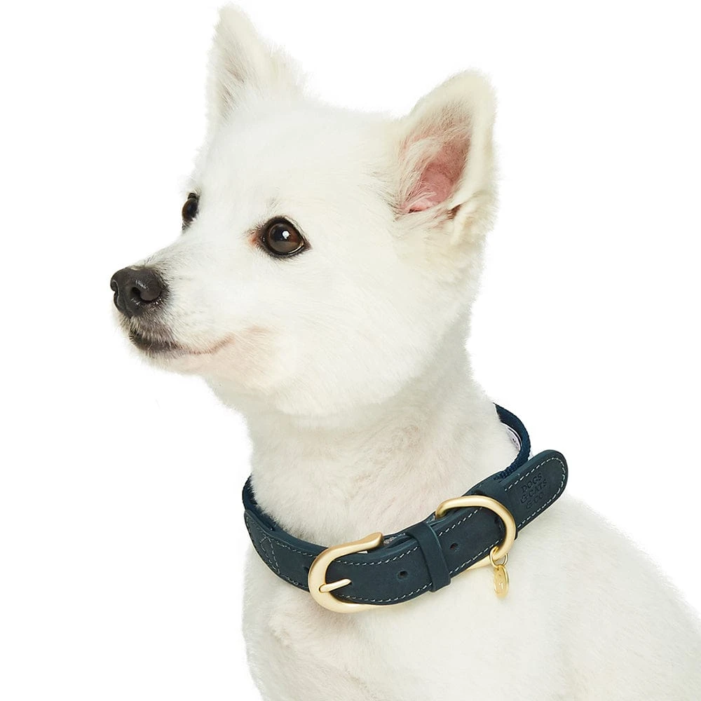 Dogs & Cats & Co. A La Mode Dog Collar For Stylish Pets 19 Dogs & Cats & Co. A La Mode Dog Collar For Stylish Pets - Image 19