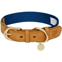 Dogs & Cats & Co. A La Mode Dog Collar For Stylish Pets