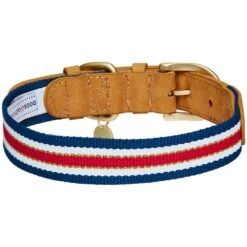 Dogs & Cats & Co. A La Mode Dog Collar For Stylish Pets 23 Dogs & Cats & Co. A La Mode Dog Collar For Stylish Pets -Dog & Cat Store 1041025041 4