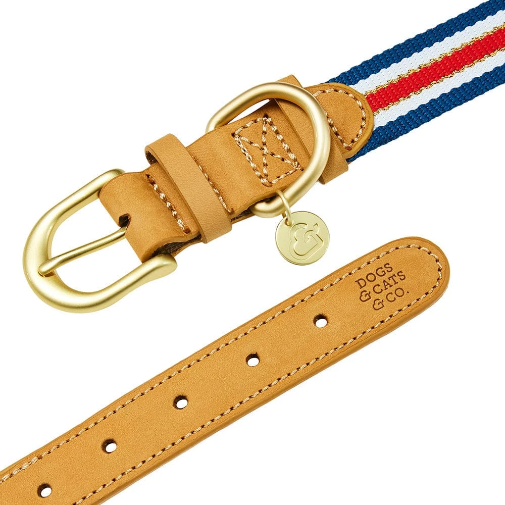 Dogs & Cats & Co. A La Mode Dog Collar For Stylish Pets 5 Dogs & Cats & Co. A La Mode Dog Collar For Stylish Pets - Image 5