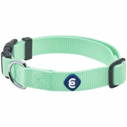 Classic Solid Color Adjustable Dog Collar, Green For Pets