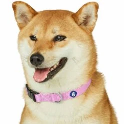 Classic Solid Color Adjustable Dog Collar, Pink/Red Design -Dog & Cat Store 1041201049 6