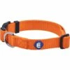 Classic Solid Color Adjustable Dog Collar, Yellow/Orange -Dog & Cat Store 1041202046 1