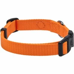 Classic Solid Color Matching Dog Collar And Leash Set -Dog & Cat Store 1041202046 2 68238dd6 f41e 4caa aa0e 0d117cc41f4e