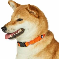 Classic Solid Color Adjustable Dog Collar, Yellow/Orange -Dog & Cat Store 1041202046 5