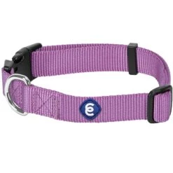Classic Solid Color Adjustable Dog Collar, Purple Style -Dog & Cat Store 1041205047 1