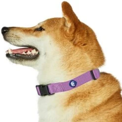 Classic Solid Color Adjustable Dog Collar, Purple Style -Dog & Cat Store 1041205047 3