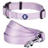 Classic Solid Color Matching Dog Collar And Leash Set -Dog & Cat Store 1041301022 1 1