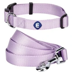 Classic Solid Color Matching Dog Collar And Leash Set