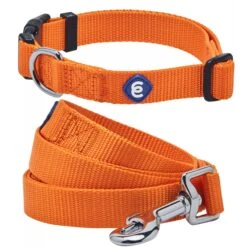 Classic Solid Color Matching Dog Collar And Leash Set -Dog & Cat Store 1041302043 1 1