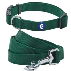 Classic Solid Color Matching Dog Collar And Leash Set -Dog & Cat Store 1041303040 1 1