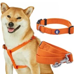Classic Solid Color Matching Dog Collar Leash Harness Set