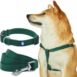 Classic Solid Color Matching Dog Collar Leash Harness Set -Dog & Cat Store 1041305044 1 1