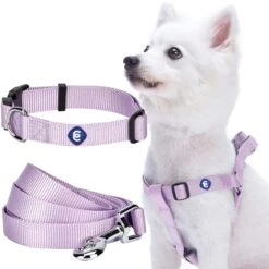 Classic Solid Color Matching Dog Collar Leash Harness Set -Dog & Cat Store 1041306041 1 1